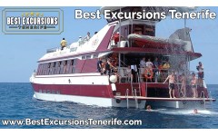 Royal Delfin (2 Hours)